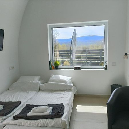 Apartament Widokowy Karkonosze Warmbrunn المظهر الخارجي الصورة